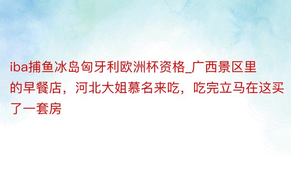 iba捕鱼冰岛匈牙利欧洲杯资格_广西景区里的早餐店，河北大姐慕名来吃，吃完立马在这买了一套房